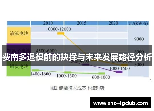 费南多退役前的抉择与未来发展路径分析