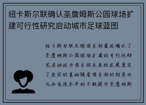 纽卡斯尔联确认圣詹姆斯公园球场扩建可行性研究启动城市足球蓝图 纽卡斯尔联确认圣詹姆斯公园球场扩建可行性研究启动城市足球蓝图
